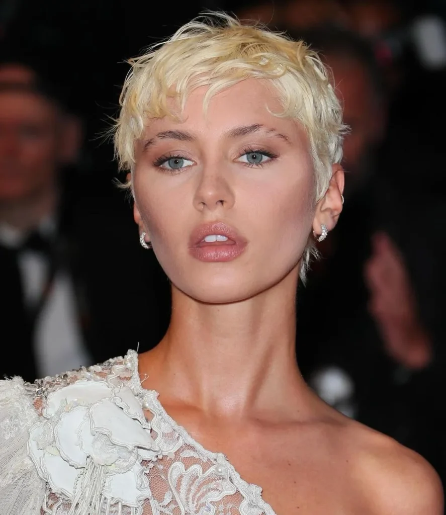 Cortes de Cabelo para o Outono-Inverno Pixie cut estilizado